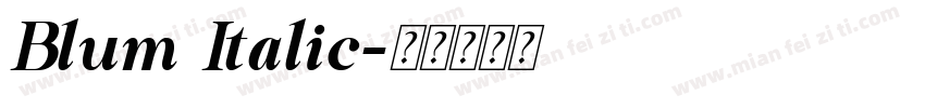 Blum Italic字体转换